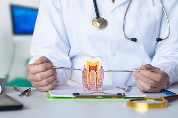 Best Emergency Broken Tooth Repair in Aspinwall, PA